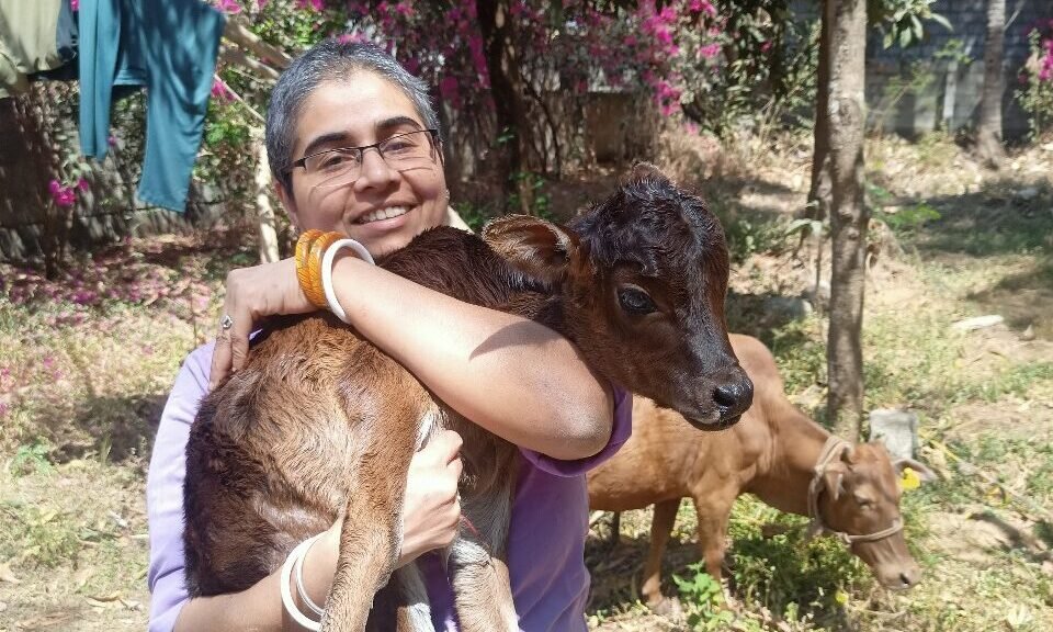 WhatsApp Image 2025-10-28 at 18.56.22